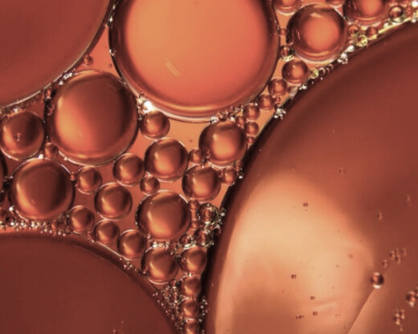 Icelandic microalgae — source of astaxanthin, the most powerful antioxidant in ANGAN skincare