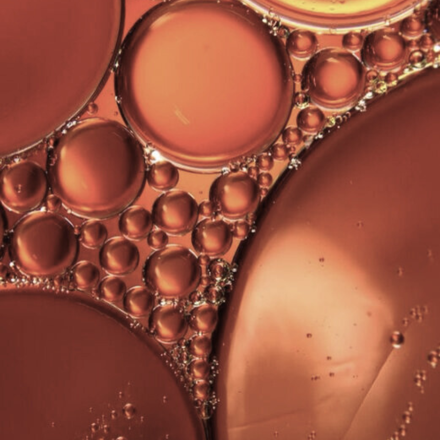Icelandic microalgae — source of astaxanthin, the most powerful antioxidant in ANGAN skincare