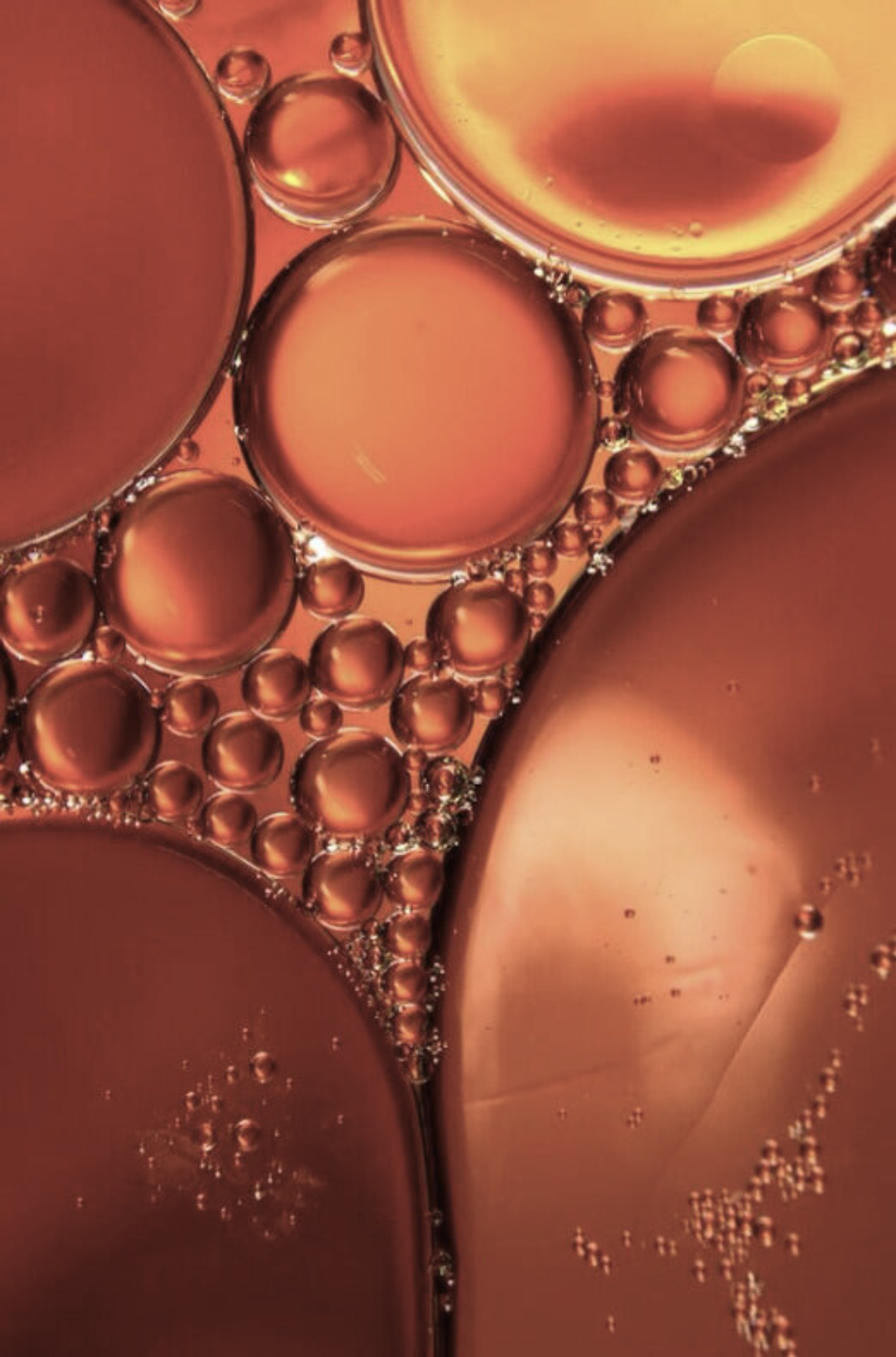 Icelandic microalgae — source of astaxanthin, the most powerful antioxidant in ANGAN skincare