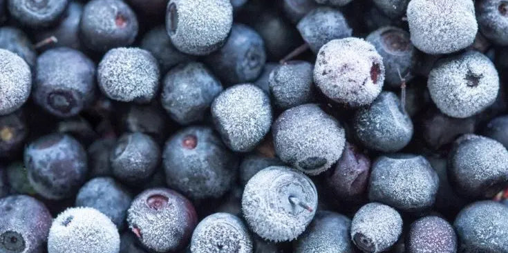 Wild arctic bilberries from Iceland — antioxidant-rich ingredients in ANGAN skincare
