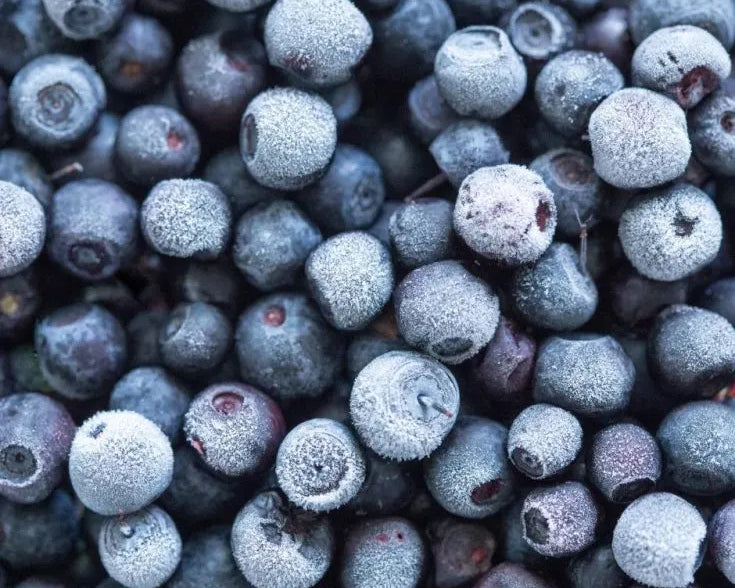 Wild arctic bilberries from Iceland — antioxidant-rich ingredients in ANGAN skincare